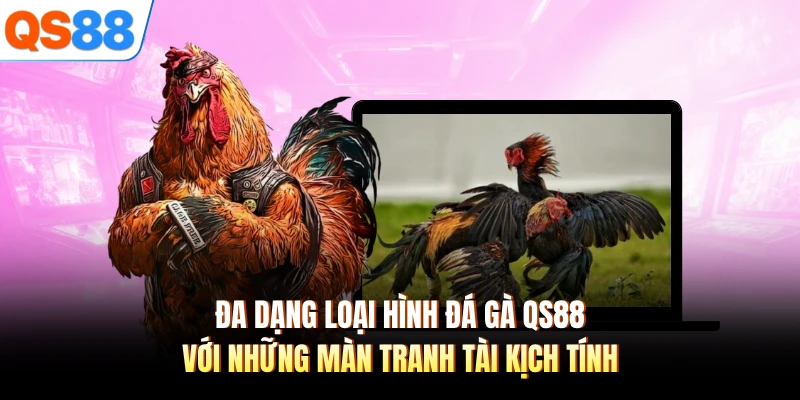 Đa dạng loại hình đá gà QS88 với những màn tranh tài kịch tính
