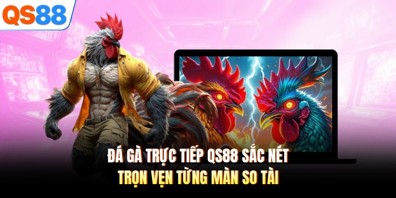 Đá Gà Trực Tiếp QS88 Sắc Nét, Trọn Vẹn Từng Màn So Tài